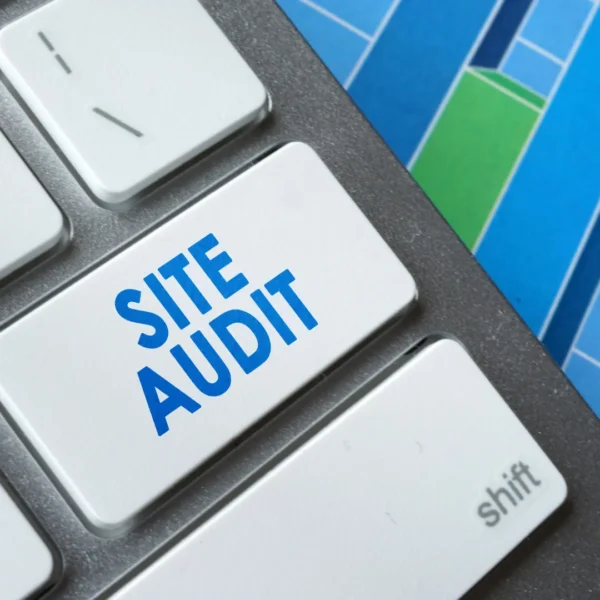 2222.webp Website Performance Audit