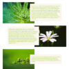 aboutus-o.jpg Dr. Sigmund - Wordpress Theme