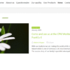 blog-o.png Dr. Sigmund - Wordpress Theme