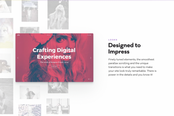 pile_design-o.png PILE - A WordPress Portfolio Theme