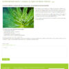 post-o.jpg Dr. Sigmund - Wordpress Theme